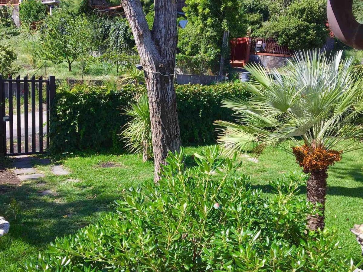 13 Via Pavone Βίλα Zafferana Etnea Εξωτερικό φωτογραφία